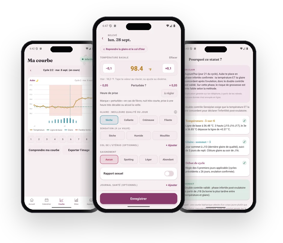 Aube: the project on mobile