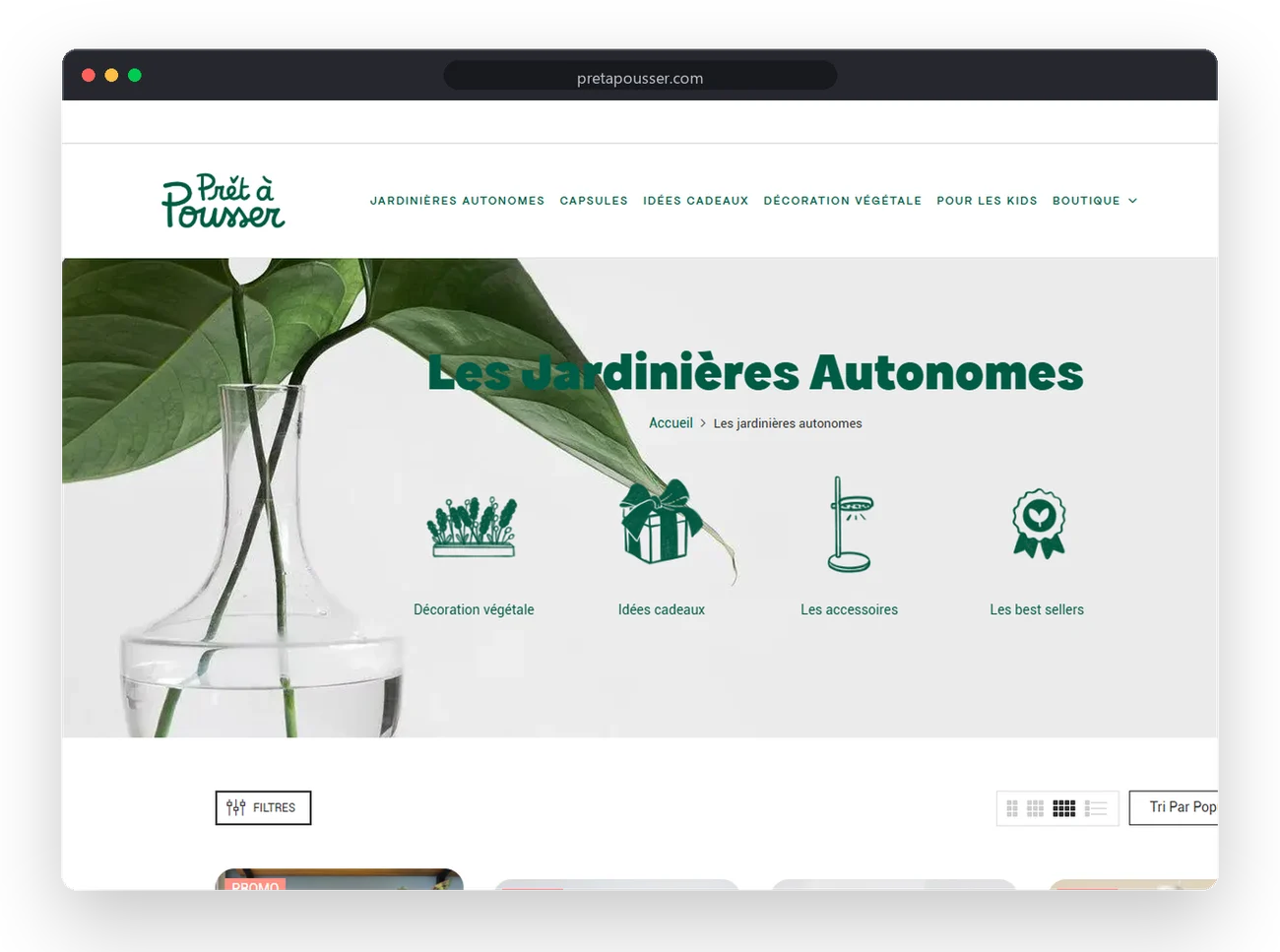 Prêt à Pousser: the project in context