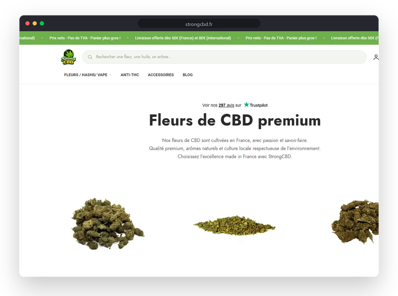 StrongCBD: the project in context